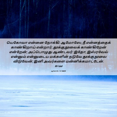 Picture 06 - ஆமோஸ் 7:8 TAMIRV - யெகோவா என்னை - Bible Verse Picture