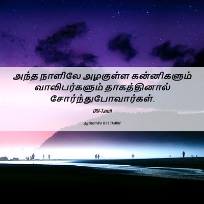 Picture 06 - ஆமோஸ் 8:13 TAMIRV - அந்த நாளிலே - Bible Verse Picture