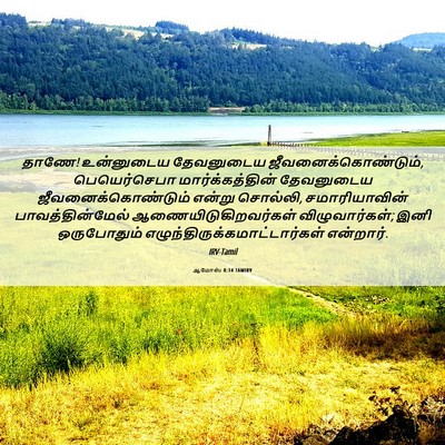 Picture 06 - ஆமோஸ் 8:14 TAMIRV - தாணே! உன்னுடைய - Bible Verse Picture