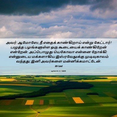 Picture 06 - ஆமோஸ் 8:2 TAMIRV - அவர்: ஆமோஸே, நீ - Bible Verse Picture