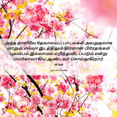 Picture 06 - ஆமோஸ் 8:3 TAMIRV - அந்த நாளிலே - Bible Verse Picture
