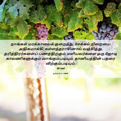Picture 06 - ஆமோஸ் 8:5 TAMIRV - நாங்கள் - Bible Verse Picture