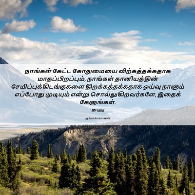 Picture 06 - ஆமோஸ் 8:6 TAMIRV - நாங்கள் கேட்ட - Bible Verse Picture