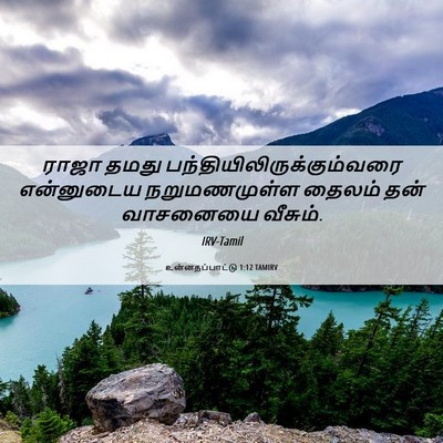 Picture 06 - உன்னதப்பாட்டு 1:12 TAMIRV - ராஜா தமது - Bible Verse Picture
