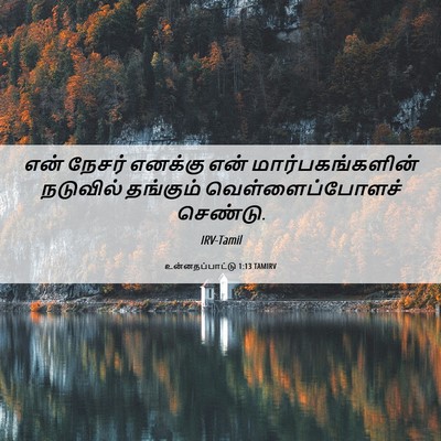 Picture 06 - உன்னதப்பாட்டு 1:13 TAMIRV - என் நேசர் எனக்கு - Bible Verse Picture