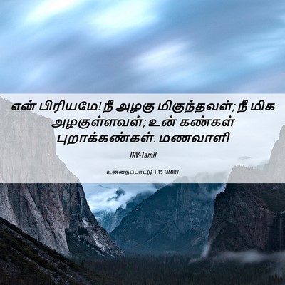 Picture 06 - உன்னதப்பாட்டு 1:15 TAMIRV - என் பிரியமே! நீ - Bible Verse Picture