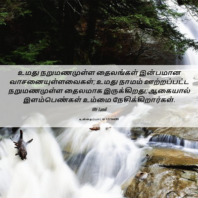Picture 06 - உன்னதப்பாட்டு 1:3 TAMIRV - உமது நறுமணமுள்ள - Bible Verse Picture