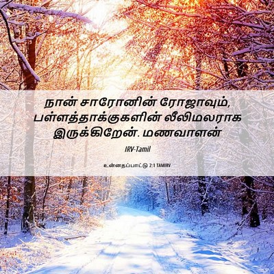 Picture 06 - உன்னதப்பாட்டு 2:1 TAMIRV - நான் சாரோனின் - Bible Verse Picture