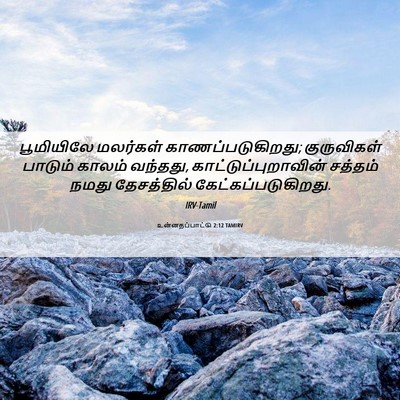 Picture 06 - உன்னதப்பாட்டு 2:12 TAMIRV - பூமியிலே மலர்கள் - Bible Verse Picture