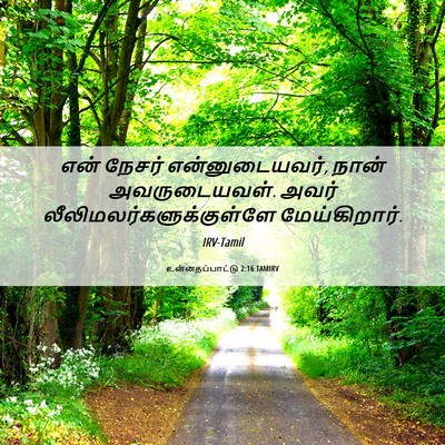 Picture 06 - உன்னதப்பாட்டு 2:16 TAMIRV - என் நேசர் - Bible Verse Picture