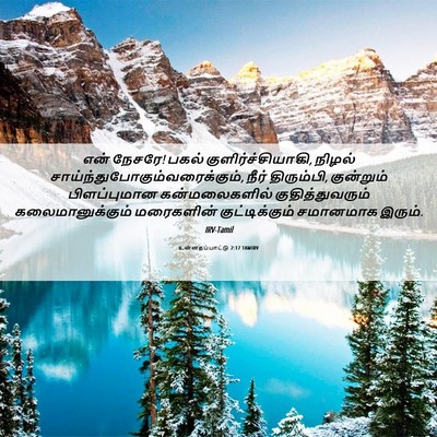 Picture 06 - உன்னதப்பாட்டு 2:17 TAMIRV - என் நேசரே! பகல் - Bible Verse Picture