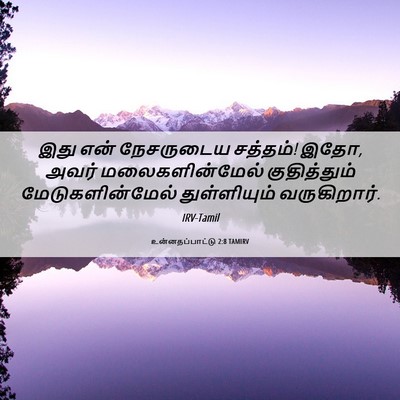 Picture 06 - உன்னதப்பாட்டு 2:8 TAMIRV - இது என் நேசருடைய - Bible Verse Picture