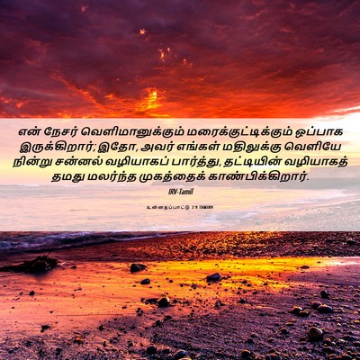 Picture 06 - உன்னதப்பாட்டு 2:9 TAMIRV - என் நேசர் - Bible Verse Picture