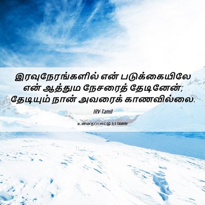 Picture 06 - உன்னதப்பாட்டு 3:1 TAMIRV - இரவுநேரங்களில் - Bible Verse Picture