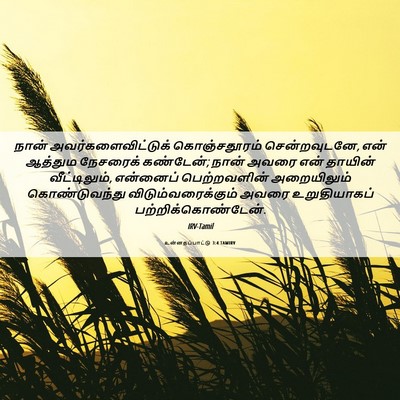 Picture 06 - உன்னதப்பாட்டு 3:4 TAMIRV - நான் - Bible Verse Picture