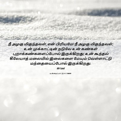 Picture 06 - உன்னதப்பாட்டு 4:1 TAMIRV - நீ அழகு - Bible Verse Picture