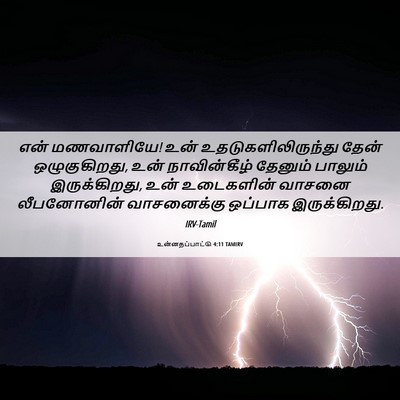 Picture 06 - உன்னதப்பாட்டு 4:11 TAMIRV - என் மணவாளியே! உன் - Bible Verse Picture