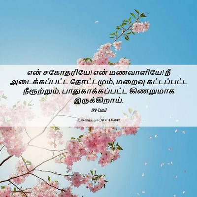 Picture 06 - உன்னதப்பாட்டு 4:12 TAMIRV - என் சகோதரியே! என் - Bible Verse Picture