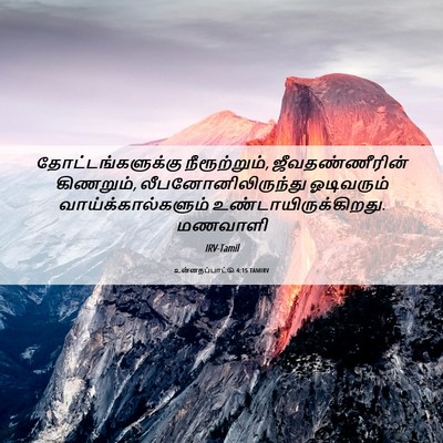 Picture 06 - உன்னதப்பாட்டு 4:15 TAMIRV - தோட்டங்களுக்கு - Bible Verse Picture