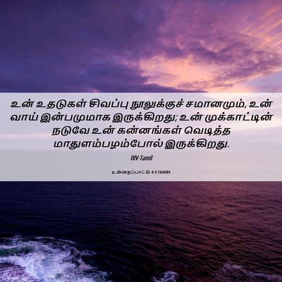 Picture 06 - உன்னதப்பாட்டு 4:3 TAMIRV - உன் உதடுகள் - Bible Verse Picture