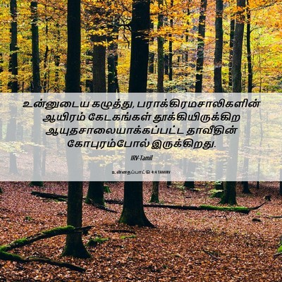 Picture 06 - உன்னதப்பாட்டு 4:4 TAMIRV - உன்னுடைய கழுத்து, - Bible Verse Picture