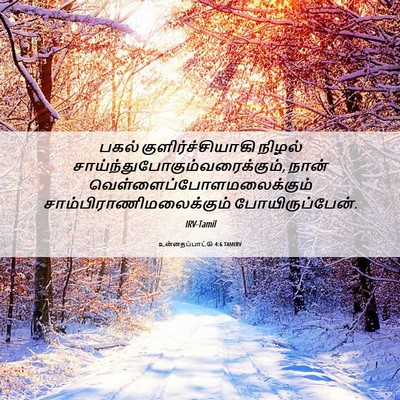 Picture 06 - உன்னதப்பாட்டு 4:6 TAMIRV - பகல் - Bible Verse Picture