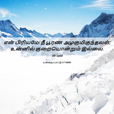 Picture 06 - உன்னதப்பாட்டு 4:7 TAMIRV - என் பிரியமே! நீ - Bible Verse Picture