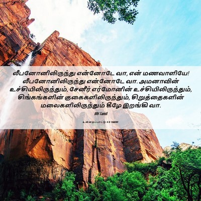 Picture 06 - உன்னதப்பாட்டு 4:8 TAMIRV - லீபனோனிலிருந்து - Bible Verse Picture
