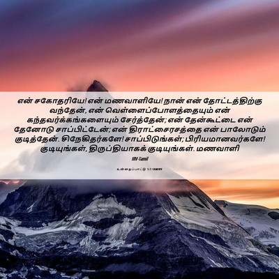 Picture 06 - உன்னதப்பாட்டு 5:1 TAMIRV - என் சகோதரியே! என் - Bible Verse Picture
