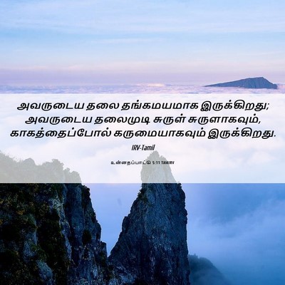 Picture 06 - உன்னதப்பாட்டு 5:11 TAMIRV - அவருடைய தலை - Bible Verse Picture