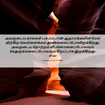 Picture 06 - உன்னதப்பாட்டு 5:15 TAMIRV - அவருடைய கால்கள் - Bible Verse Picture