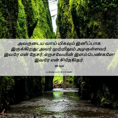 Picture 06 - உன்னதப்பாட்டு 5:16 TAMIRV - அவருடைய வாய் - Bible Verse Picture