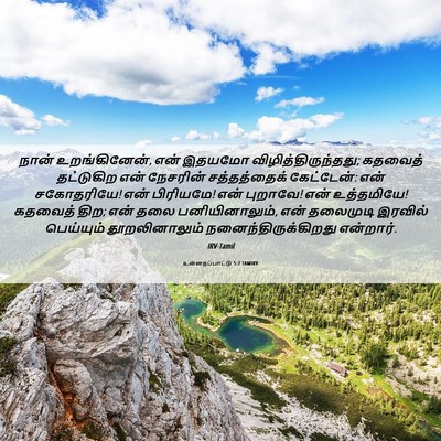 Picture 06 - உன்னதப்பாட்டு 5:2 TAMIRV - நான் உறங்கினேன், - Bible Verse Picture