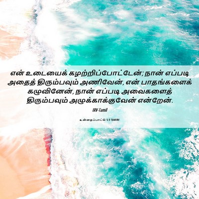 Picture 06 - உன்னதப்பாட்டு 5:3 TAMIRV - என் உடையைக் - Bible Verse Picture
