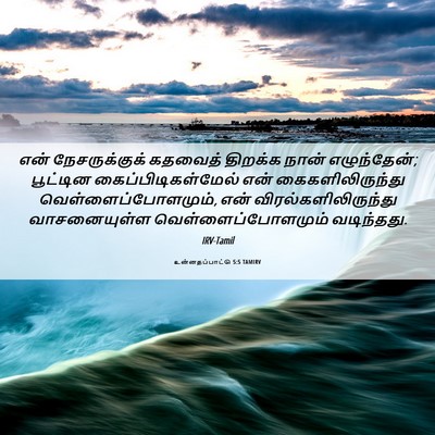 Picture 06 - உன்னதப்பாட்டு 5:5 TAMIRV - என் நேசருக்குக் - Bible Verse Picture