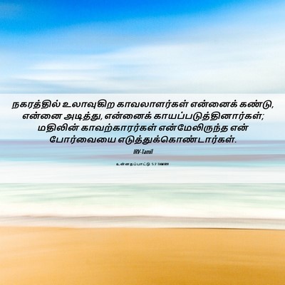 Picture 06 - உன்னதப்பாட்டு 5:7 TAMIRV - நகரத்தில் - Bible Verse Picture