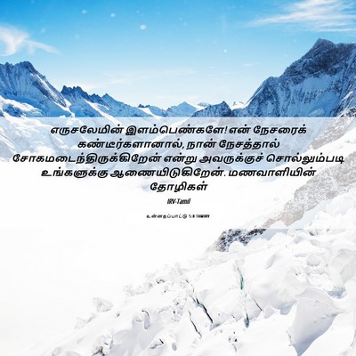 Picture 06 - உன்னதப்பாட்டு 5:8 TAMIRV - எருசலேமின் - Bible Verse Picture