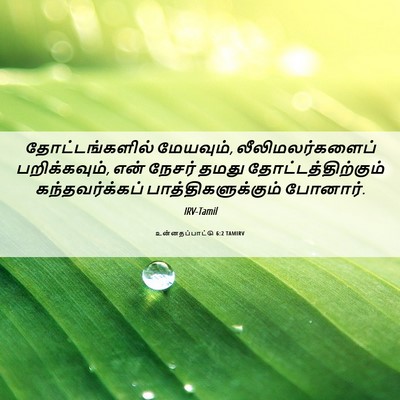 Picture 06 - உன்னதப்பாட்டு 6:2 TAMIRV - தோட்டங்களில் - Bible Verse Picture