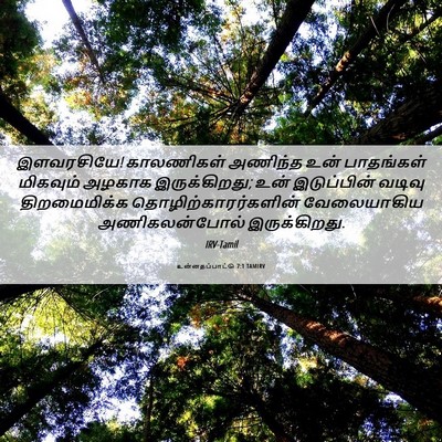 Picture 06 - உன்னதப்பாட்டு 7:1 TAMIRV - இளவரசியே! - Bible Verse Picture
