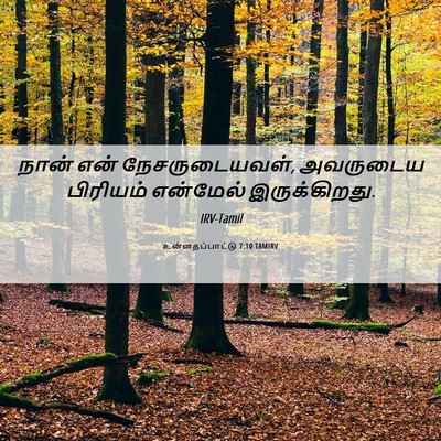 Picture 06 - உன்னதப்பாட்டு 7:10 TAMIRV - நான் என் - Bible Verse Picture