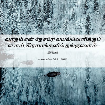 Picture 06 - உன்னதப்பாட்டு 7:11 TAMIRV - வாரும் என் நேசரே! - Bible Verse Picture