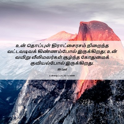 Picture 06 - உன்னதப்பாட்டு 7:2 TAMIRV - உன் தொப்புள் - Bible Verse Picture
