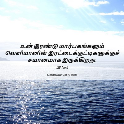 Picture 06 - உன்னதப்பாட்டு 7:3 TAMIRV - உன் இரண்டு - Bible Verse Picture