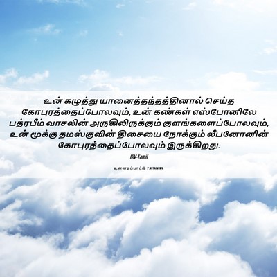 Picture 06 - உன்னதப்பாட்டு 7:4 TAMIRV - உன் கழுத்து - Bible Verse Picture