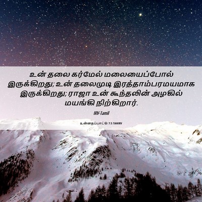 Picture 06 - உன்னதப்பாட்டு 7:5 TAMIRV - உன் தலை கர்மேல் - Bible Verse Picture