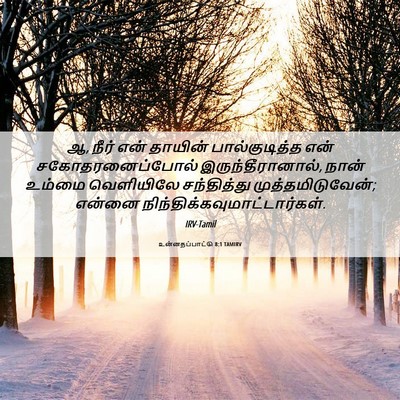 Picture 06 - உன்னதப்பாட்டு 8:1 TAMIRV - ஆ, நீர் என் தாயின் - Bible Verse Picture