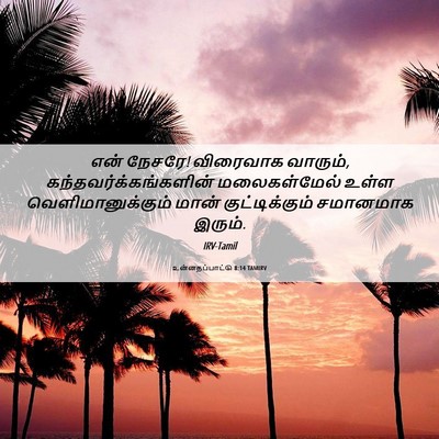 Picture 06 - உன்னதப்பாட்டு 8:14 TAMIRV - என் நேசரே! விரைவாக - Bible Verse Picture