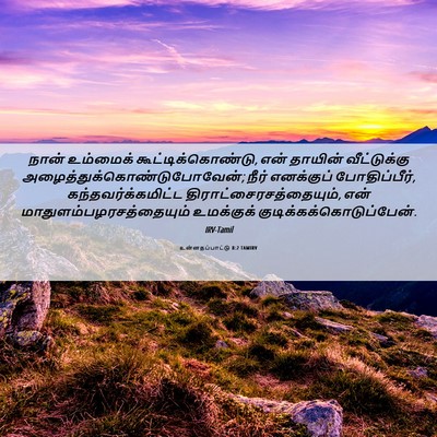 Picture 06 - உன்னதப்பாட்டு 8:2 TAMIRV - நான் உம்மைக் - Bible Verse Picture