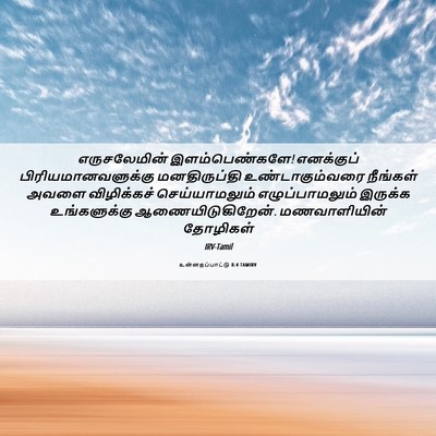Picture 06 - உன்னதப்பாட்டு 8:4 TAMIRV - எருசலேமின் - Bible Verse Picture
