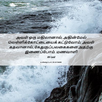 Picture 06 - உன்னதப்பாட்டு 8:9 TAMIRV - அவள் ஒரு - Bible Verse Picture